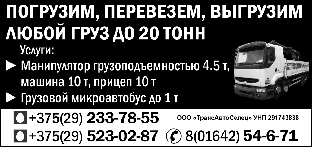 «ТрансАвтоСелец» ООО