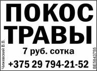 Чижевский В.В. ФЛ