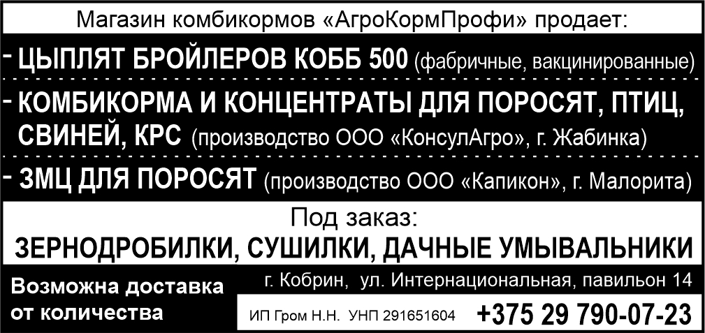 Гром Н.Н. ИП