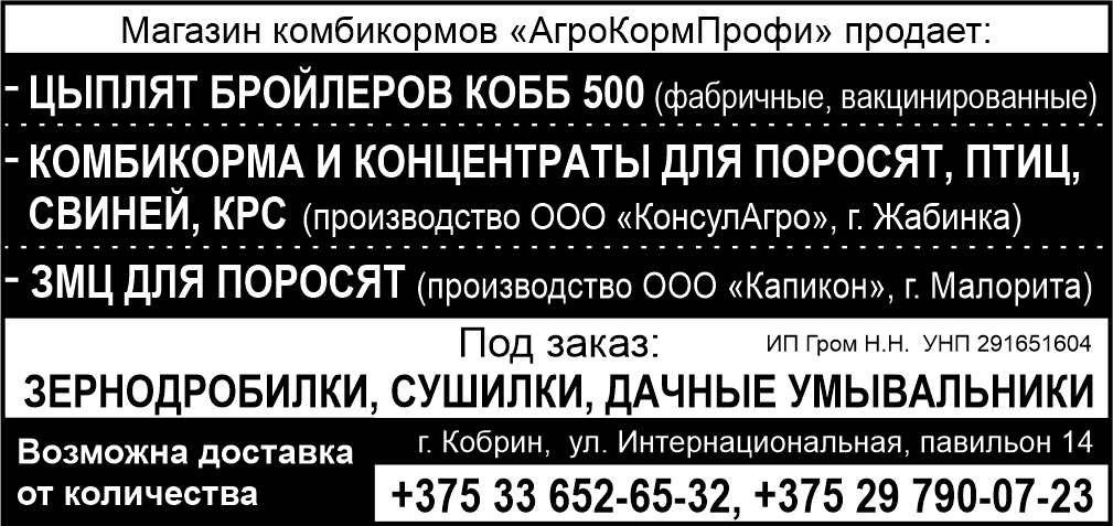 Гром Н.Н. ИП