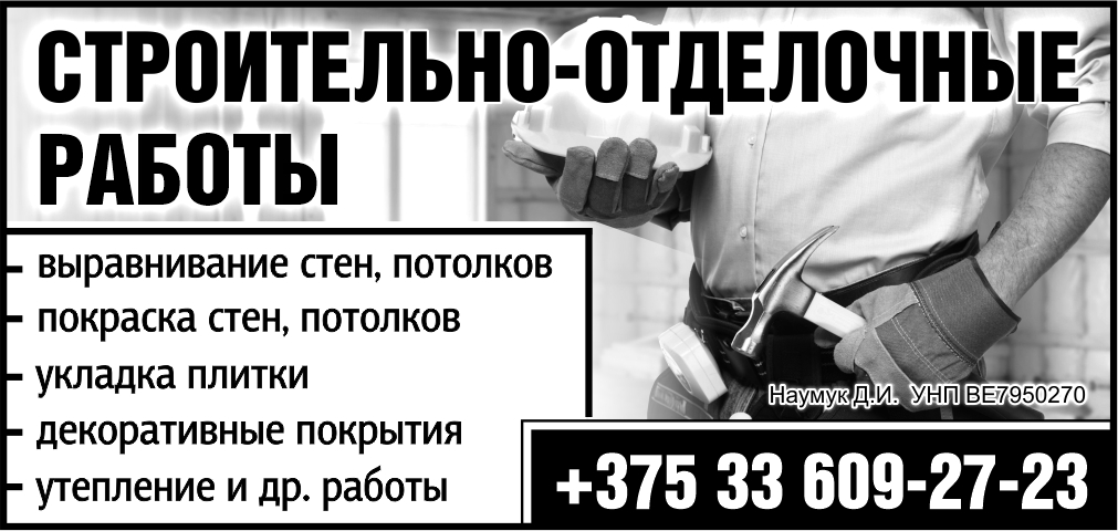 Наумук Д.И. ФЛ