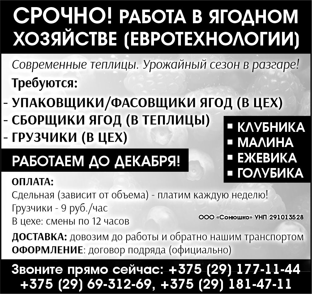 «Сонюшко» ООО
